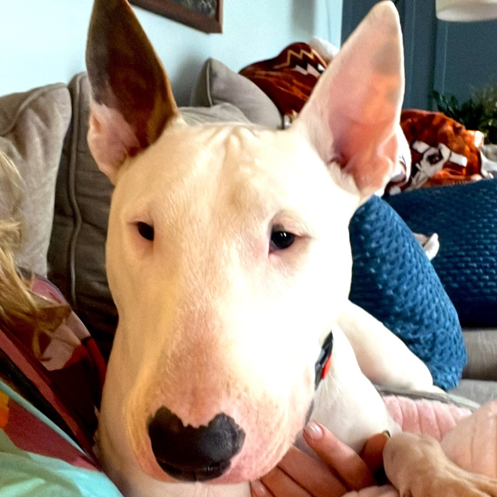 Help me clear out my closet!  Bundle and save!  No reasonable offers refused!